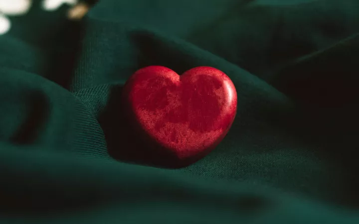 Heart illustration by Dhaya Eddine Bentaleb from Unsplash