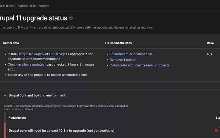 Gin dark mode with Upgrade Status 4.2.0