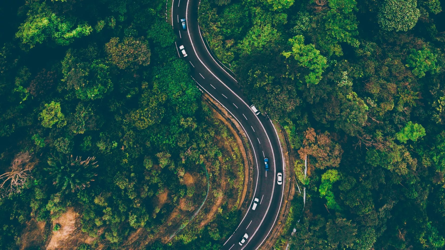 Illustration from Unsplash by Deva Darshan