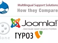 Comparing multilingual solutions