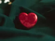 Heart illustration by Dhaya Eddine Bentaleb from Unsplash